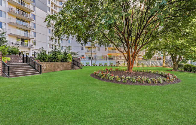 A tree in a flower bed in front of a building.