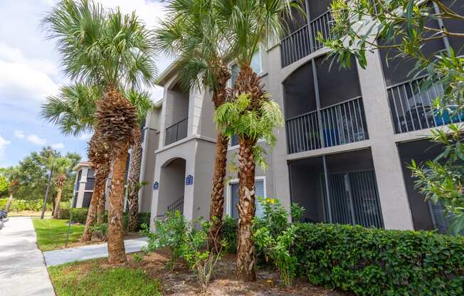 an apartment building with palm trees in front of it at Heritage Bay, Florida, 34957