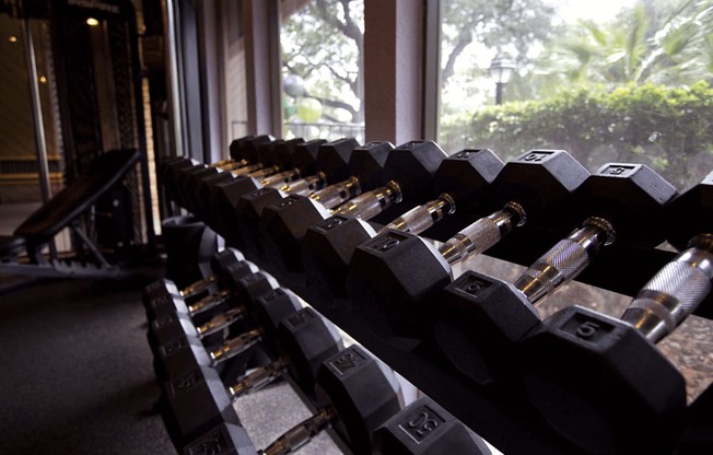 Free Weights  at Walnut Hill, Texas