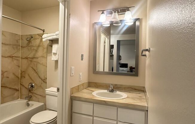 1 bed, 1 bath, 510 sqft, $1,395, Unit 307