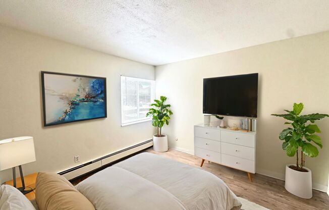1 bed, 1 bath, 500 sqft, $799, Unit Unit 303
