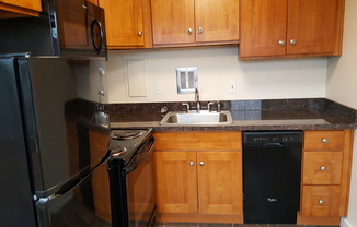 1 bed, 1 bath, 540 sqft, $1,495, Unit 303