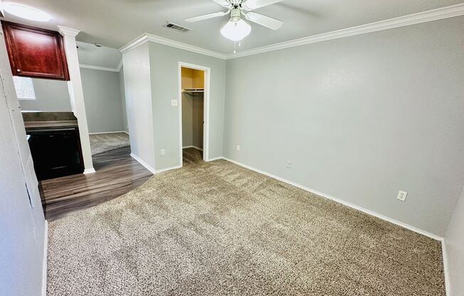 Studio, 1 bath, 500 sqft, $750, Unit 208