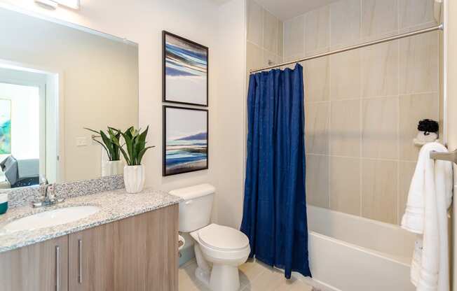 a bathroom with a blue shower curtain and a white toilet