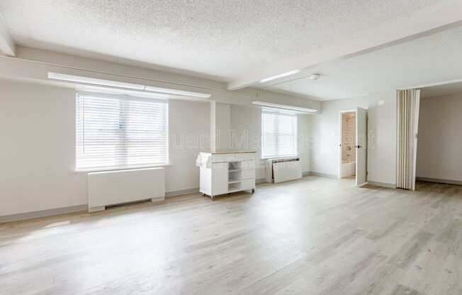 Studio, 1 bath, 329 sqft, $695, Unit 529