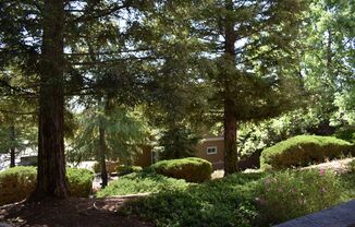 Privacy and lush LandscapeUpgraded condo in Roseville