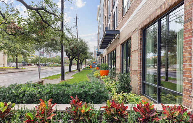 A view of a street with a building on the right and a green bush in the foreground.