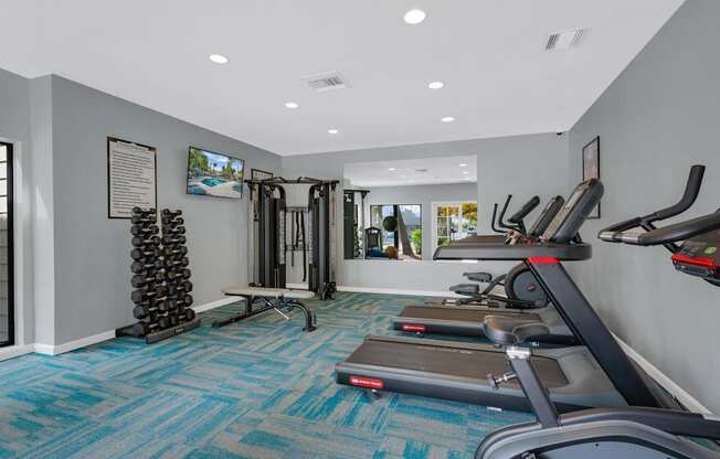 A gym with treadmills, weights, and exercise equipment.