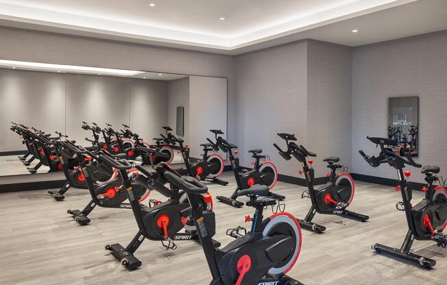 1 bed, 1 bath, $3,667, Unit 816