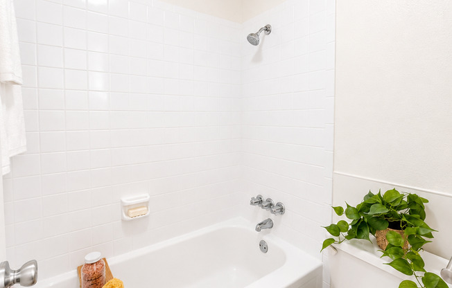 Studio, 1 bath, 400 sqft, $1,109, Unit WWK-302