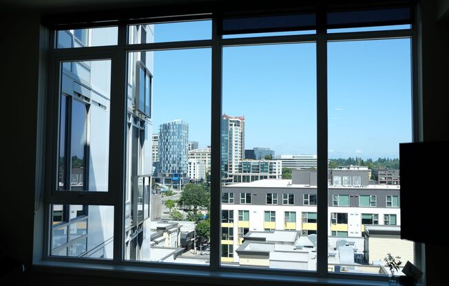 1 bed, 1 bath, 556 sqft, $2,699, Unit 517