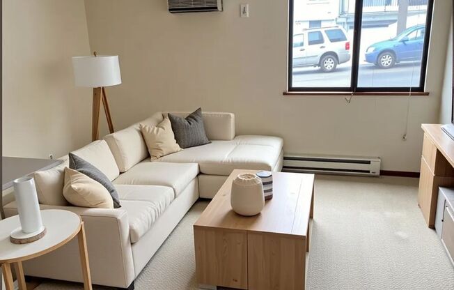 Studio, 1 bath, 300 sqft, $1,055, Unit 102-106