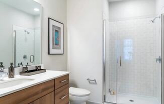 Stylish Shower with Glass Door