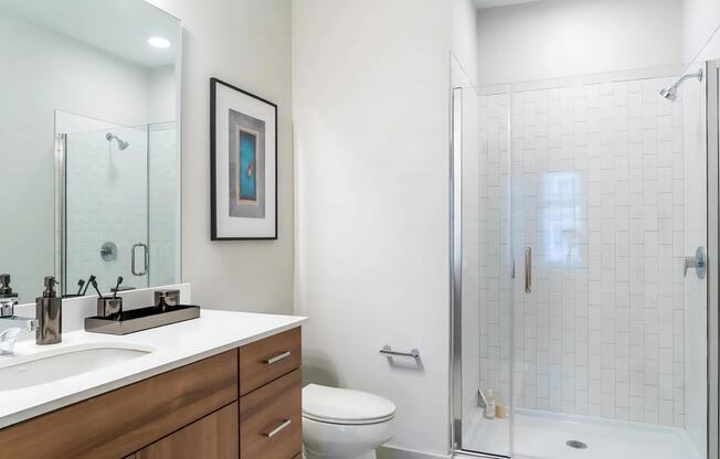 Stylish Shower with Glass Door