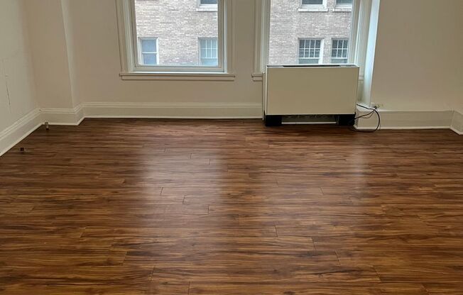 Studio, 1 bath, 224 sqft, $1,000, Unit 411