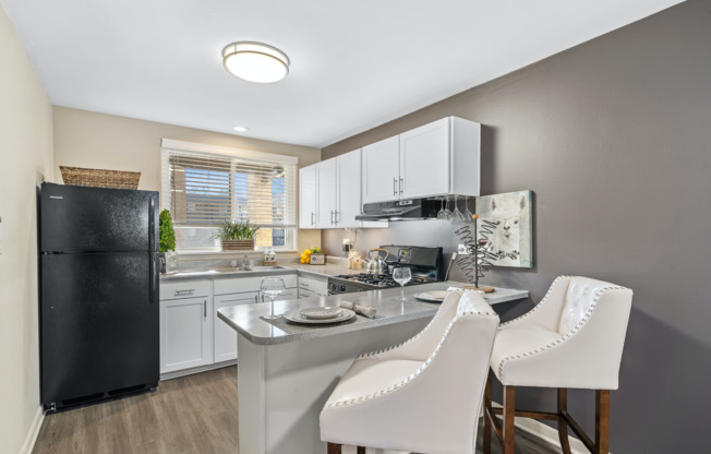 Modern Kitchen | Apartments For Rent Win Mt Prospect, IL | The Eclipse at 1450