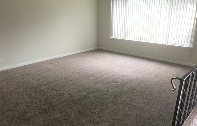 Home adjacent to park with new paint and new carpet plus garage and lemon tree in yard