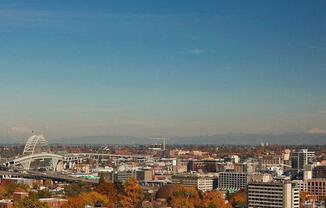 a view of a city with buildings and a ferris wheel