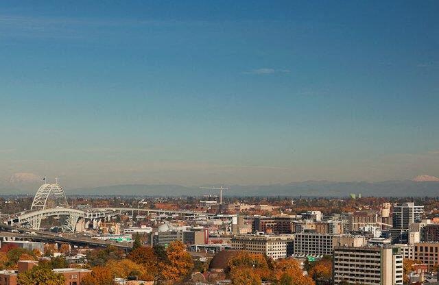 a view of a city with buildings and a ferris wheel