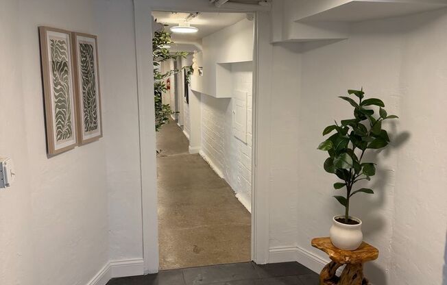 1 bed, 1 bath, 600 sqft, $1,150, Unit Unit 312