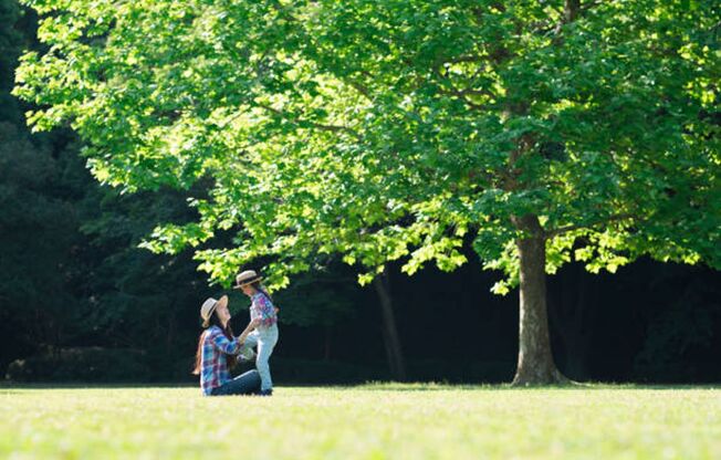 1 bed, 1 bath, 900 sqft, $1,199, Unit 1122