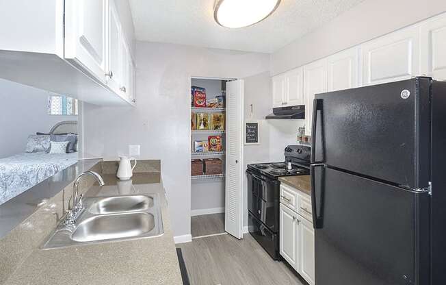 Fully-Equipped Kitchens with Black Appliances
