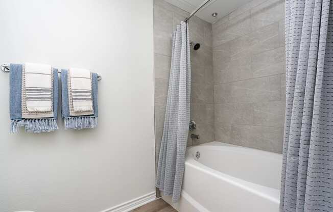 a bathroom with a bathtub and shower