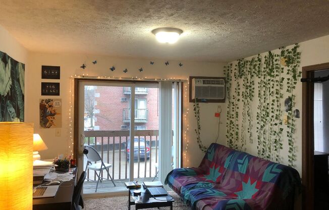 1 bed, 1 bath, 469 sqft, $900, Unit 8