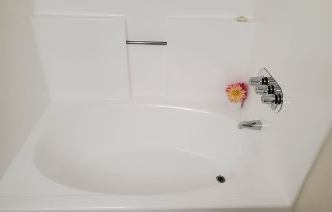 2 beds, 2 baths, 884 sqft, $2,692, Unit 339