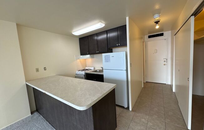 Studio, 1 bath, 375 sqft, $825, Unit 604