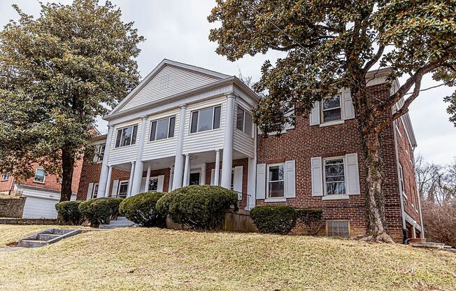 The Ascent Collection - The Tide