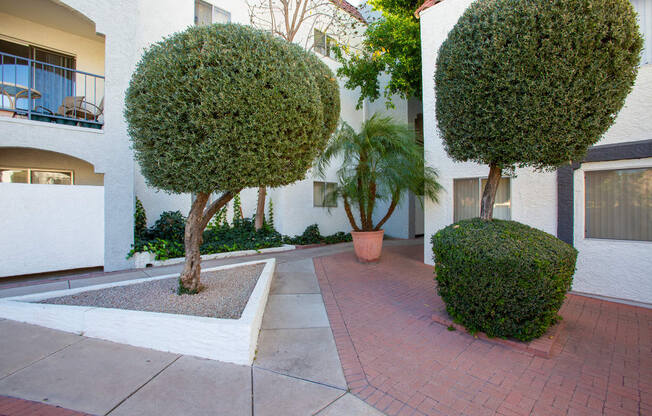 Landscaping at University Park Apartments