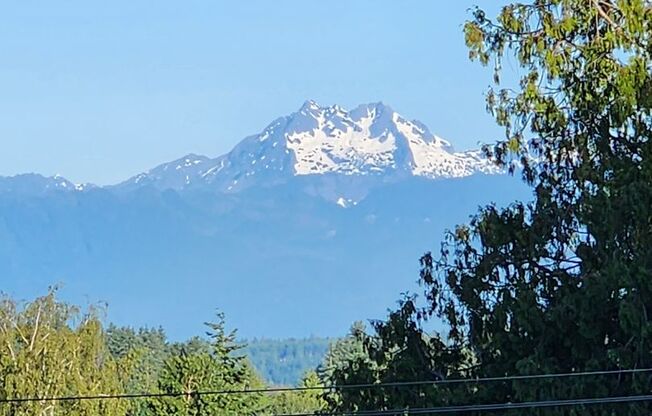Beautiful East Bremerton Home with a View