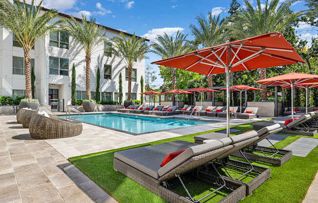 Palm-lined pool with vibrant umbrellas, plush loungers, and resort-style ambiance