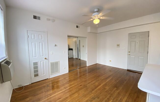 Studio, 1 bath, 300 sqft, $1,050, Unit 5528-108