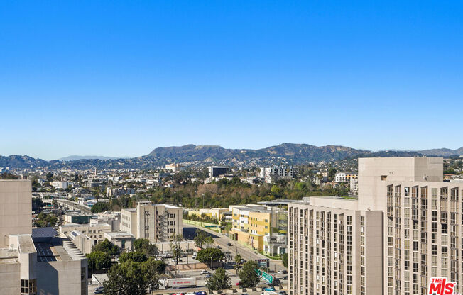 Studio, 1 bath, 481 sqft, $2,250, Unit 1409