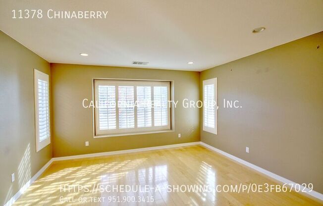 11378 CHINABERRY