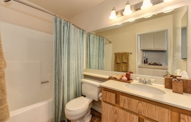 Bathroom with Cabinets, hard wood Inspired Floors, Faucet, Toilet, Shower/Bath, Lighting above vanity.