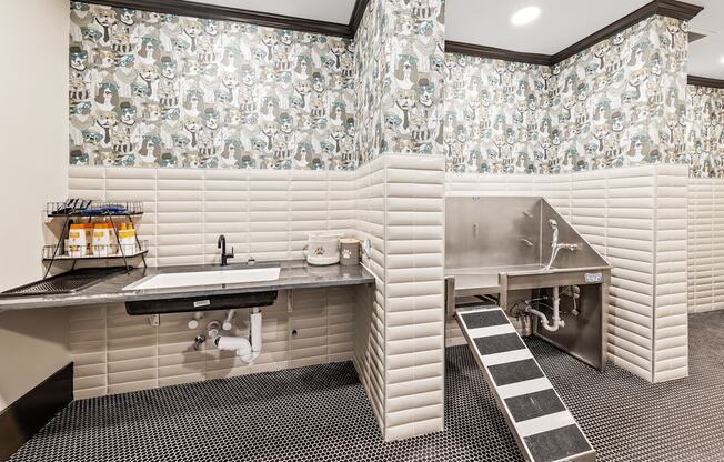 Pet spa and dog washing station at Preston Ridge Cary, NC.