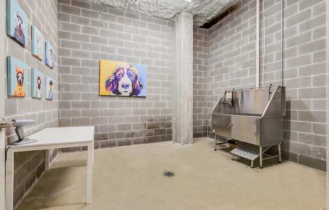 uptown dallas apartments with dog wash