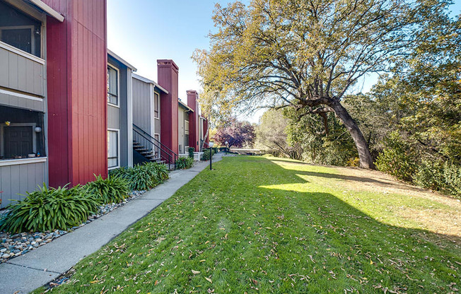 a green lawn in front of a row of houses