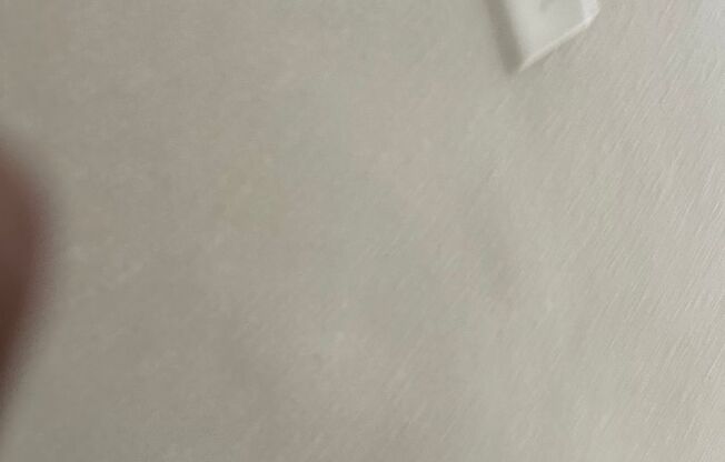 1 bed, 1 bath, 560 sqft, $1,195, Unit 306