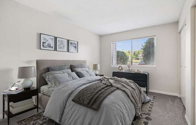 Bedroom with Plush Carpeting
