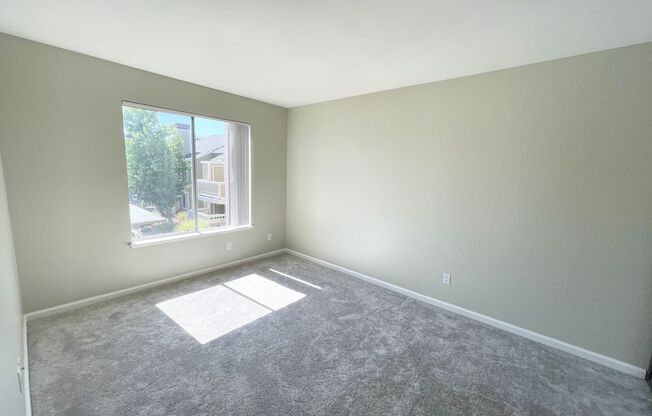 1 bed, 1 bath, $2,300