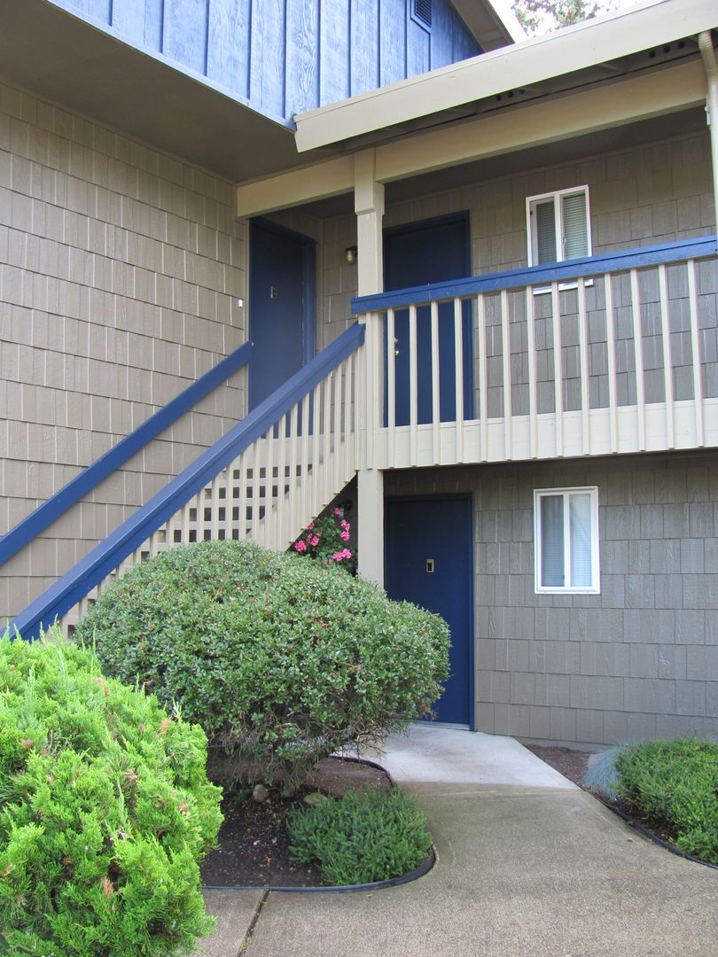 Apartments at Rainier Terrace