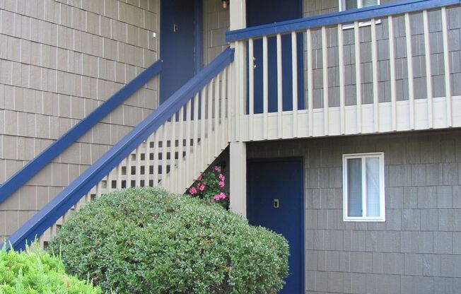 Apartments at Rainier Terrace