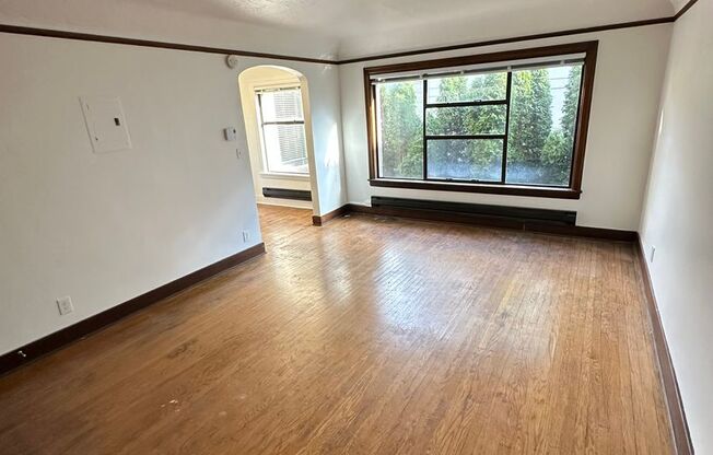 Studio, 1 bath, 429 sqft, $1,245, Unit Unit 204