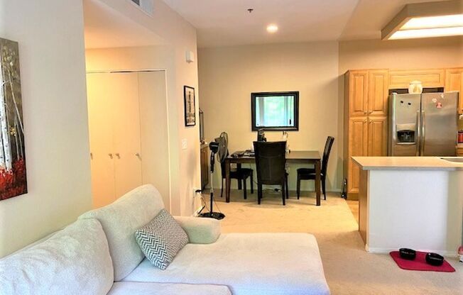 Beautiful luxury condo in prime location