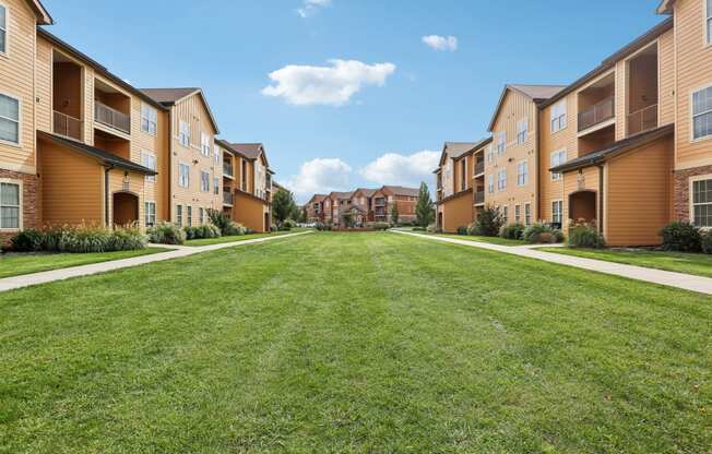 an empty lawn in front of a row of houses