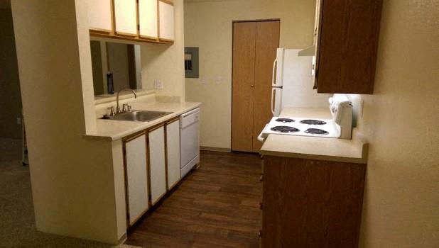 kitchen with wood-style flooring